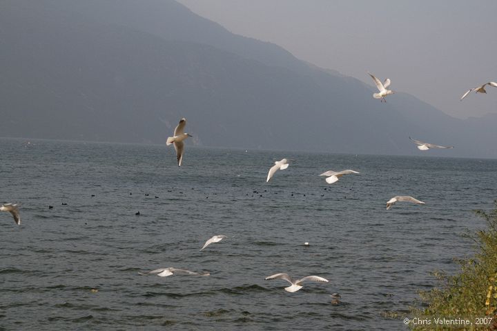 Lac du Bourget near Chambery, France, Oct 2007