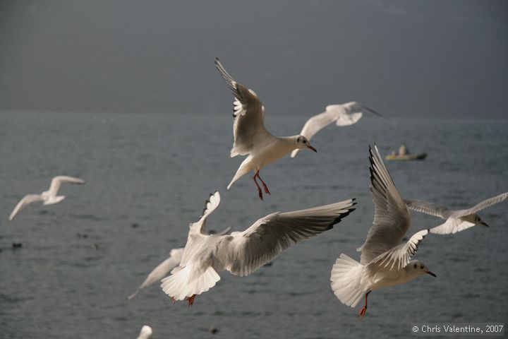 Lac du Bourget near Chambery, France, Oct 2007