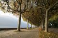 Aix-Les-Bain's lake-side promenade along Lac du Bourget, near Chambery, France, Oct 2007