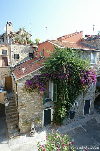 Lorenzo's House, Poggi