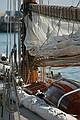 Imperia Vintage Sails Meeting