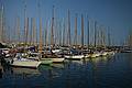 Imperia Vintage Sails Meeting