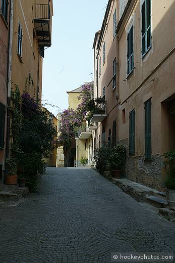 Cervo