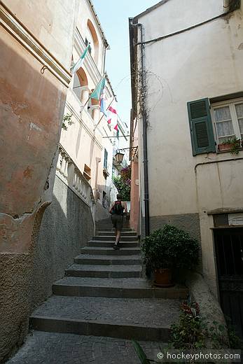 Cervo