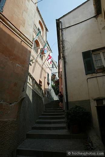 Cervo