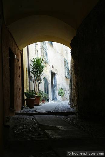 Cervo