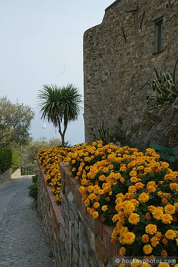 Feudal Castle, Cervo