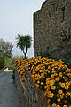 Feudal Castle, Cervo