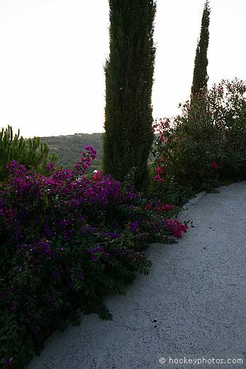 Agriturismo Saglietto, Poggi, Imperia