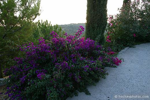 Agriturismo Saglietto, Poggi, Imperia