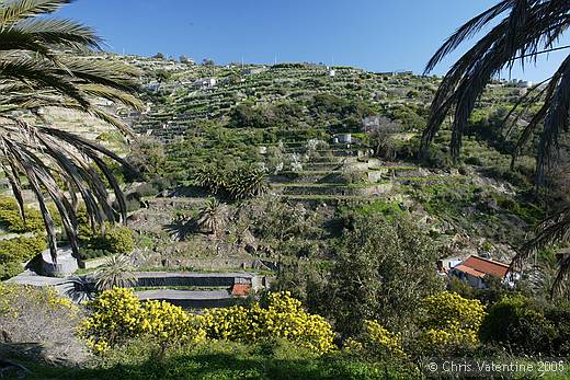 Bordighera