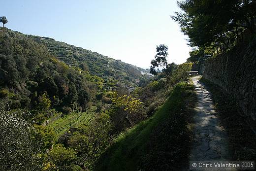 Bordighera