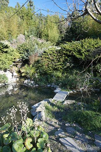 Japanese garden in Sanremo