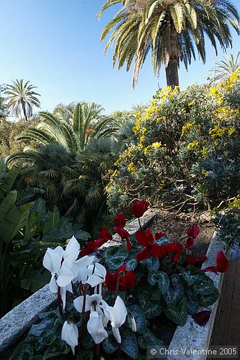 Gardens in Sanremo