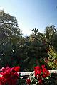 Gardens in Sanremo