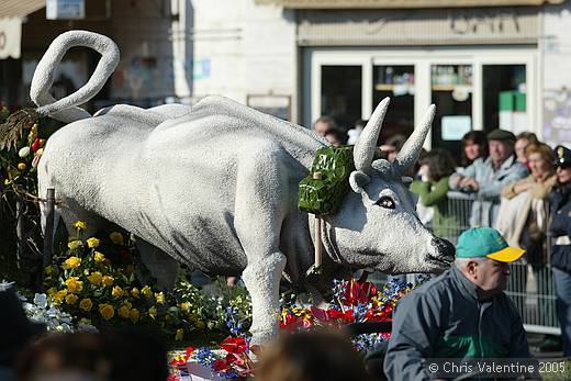 Sanremo flower festival - Sunday