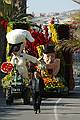 Sanremo flower festival - Sunday