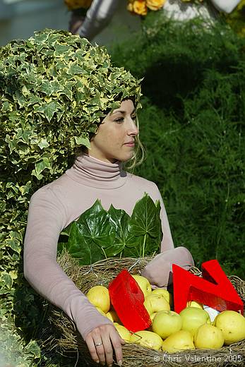 Sanremo flower festival - Sunday