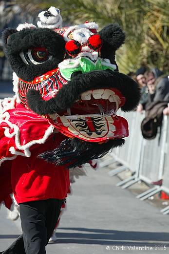 Sanremo flower festival - Sunday