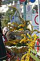 Sanremo flower festival - Sunday