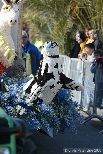 Sanremo flower festival - Sunday