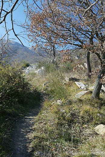 The Orchid Paradise trail