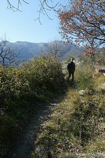 The Orchid Paradise trail