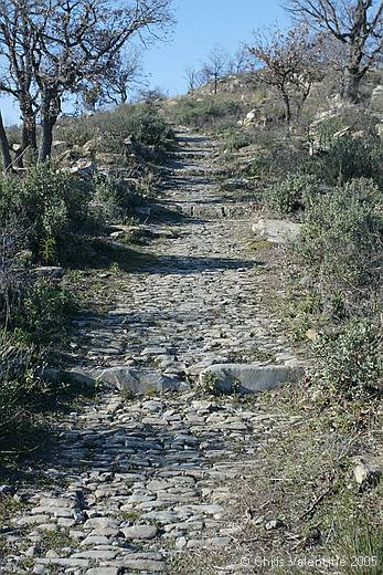 The Orchid Paradise trail