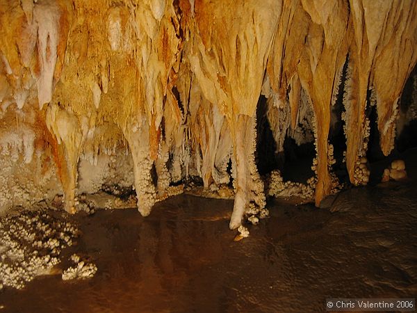 Grotte di Toirano