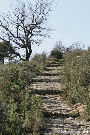 Ancient mule trail