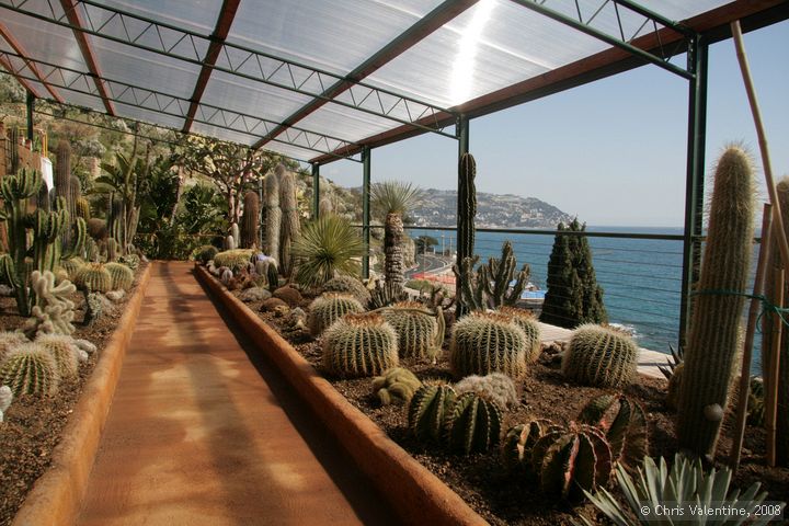 Giardino Esotica Pallanca (Pallanca Exotic Gardens), nr Bordighera, Italy