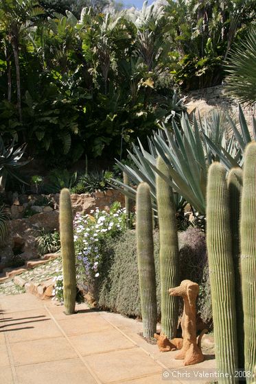 Giardino Esotica Pallanca (Pallanca Exotic Gardens), nr Bordighera, Italy