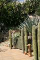 Giardino Esotica Pallanca (Pallanca Exotic Gardens), nr Bordighera, Italy