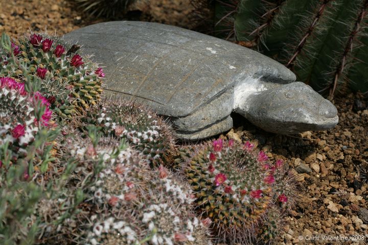 Giardino Esotica Pallanca (Pallanca Exotic Gardens), nr Bordighera, Italy