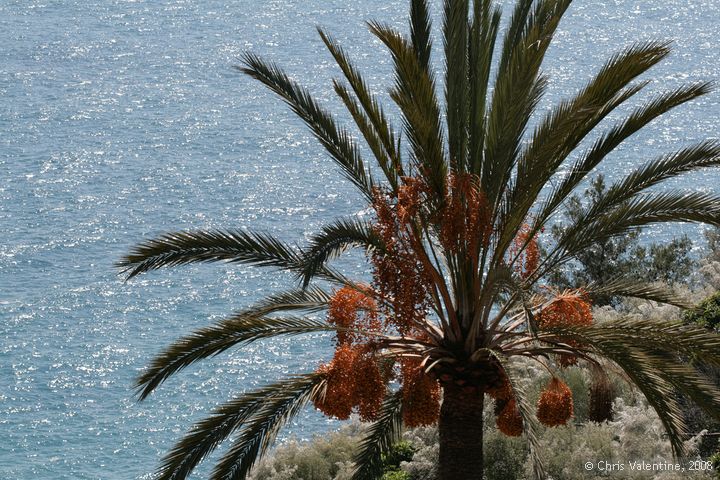 Giardino Esotica Pallanca (Pallanca Exotic Gardens), nr Bordighera, Italy