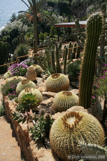 Giardino Esotica Pallanca (Pallanca Exotic Gardens), nr Bordighera, Italy