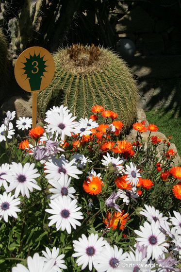 Giardino Esotica Pallanca (Pallanca Exotic Gardens), nr Bordighera, Italy