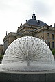 The Peacock Fountain