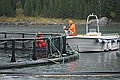 Salmon farm on excursion to Svartisen Glacier