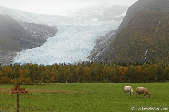 Excursion to Svartisen Glacier