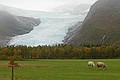 Excursion to Svartisen Glacier