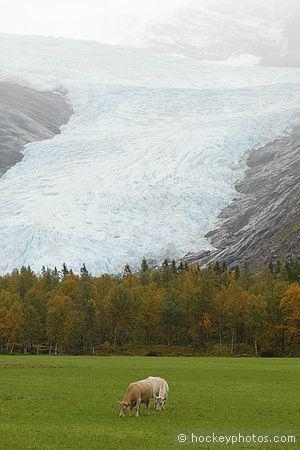 Excursion to Svartisen Glacier
