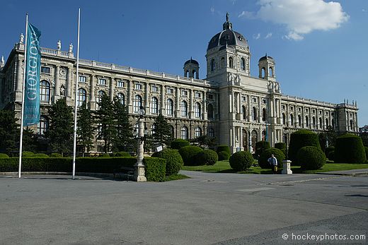 The Museum of Fine Art, Vienna