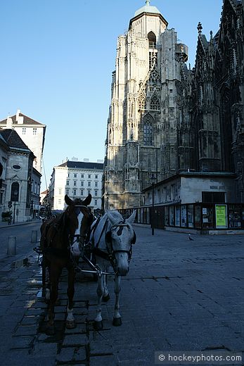 Saint Stephen's Cathedral, Vienna