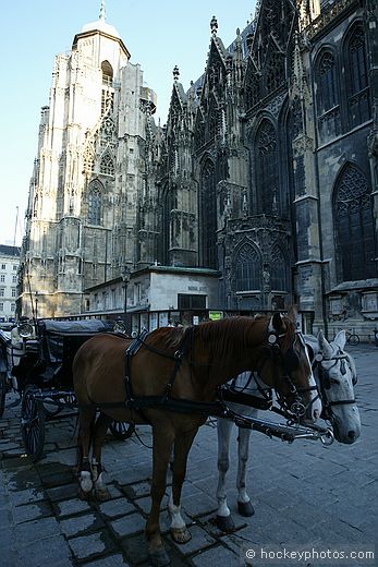 Saint Stephen's Cathedral, Vienna